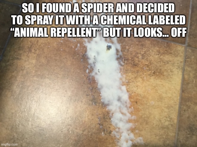 SO I FOUND A SPIDER AND DECIDED TO SPRAY IT WITH A CHEMICAL LABELED “ANIMAL REPELLENT” BUT IT LOOKS… OFF | made w/ Imgflip meme maker