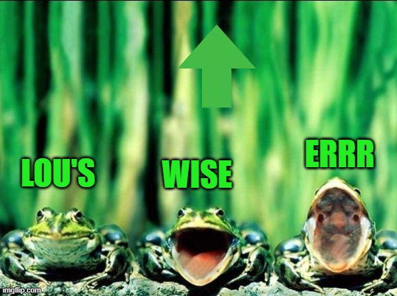 LOU'S WISE ERRR | made w/ Imgflip meme maker