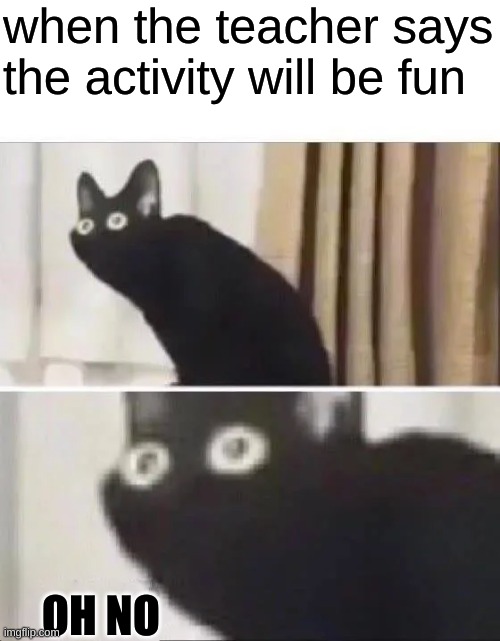 fun ... righhht | when the teacher says the activity will be fun; OH NO | image tagged in oh no black cat,school | made w/ Imgflip meme maker