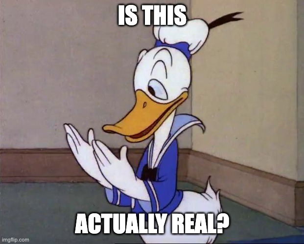 Is this real life? /Donald Duck | IS THIS ACTUALLY REAL? | image tagged in is this real life /donald duck | made w/ Imgflip meme maker