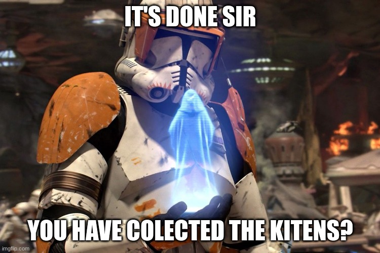It will be done my lord. Star Wars Order 66 | IT'S DONE SIR; YOU HAVE COLECTED THE KITENS? | image tagged in it will be done my lord star wars order 66 | made w/ Imgflip meme maker