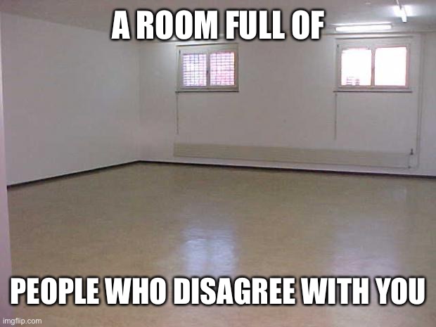 Empty Room | A ROOM FULL OF PEOPLE WHO DISAGREE WITH YOU | image tagged in empty room | made w/ Imgflip meme maker