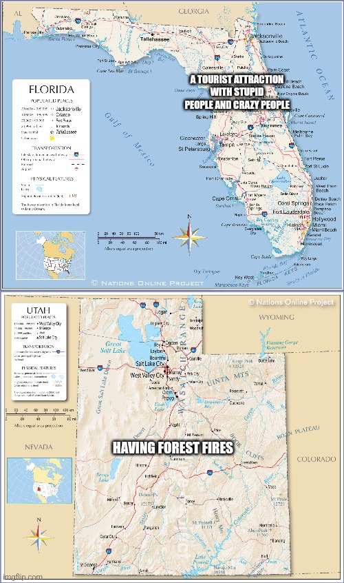 A TOURIST ATTRACTION WITH STUPID PEOPLE AND CRAZY PEOPLE; HAVING FOREST FIRES | made w/ Imgflip meme maker