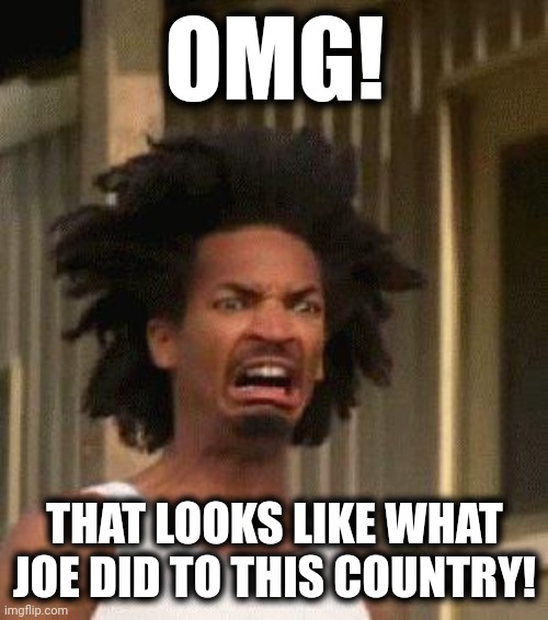 Disgusted Face | OMG! THAT LOOKS LIKE WHAT JOE DID TO THIS COUNTRY! | image tagged in disgusted face | made w/ Imgflip meme maker