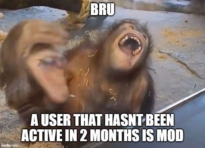 monke | BRU; A USER THAT HASNT BEEN ACTIVE IN 2 MONTHS IS MOD | image tagged in monke | made w/ Imgflip meme maker