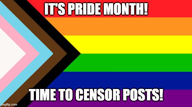 Gay Flag!!! | IT'S PRIDE MONTH! TIME TO CENSOR POSTS! | image tagged in gay flag | made w/ Imgflip meme maker