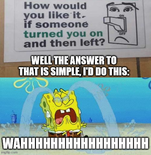 sad crying spongebob | WELL THE ANSWER TO THAT IS SIMPLE, I'D DO THIS:; WAHHHHHHHHHHHHHHHHH | image tagged in sad crying spongebob | made w/ Imgflip meme maker