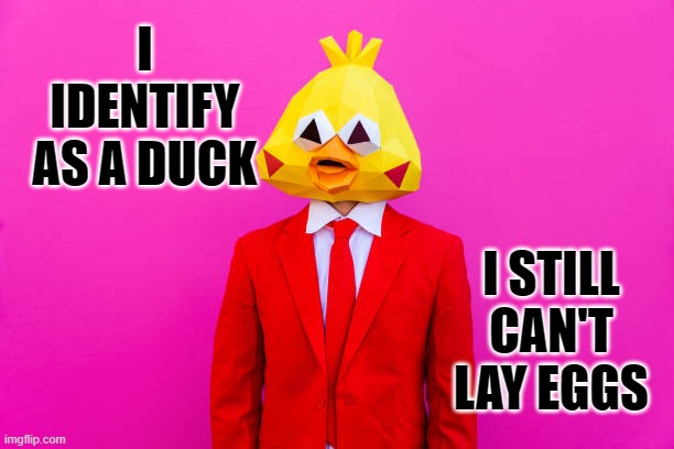 I identify as a duck, I still can't lay eggs | I IDENTIFY AS A DUCK; I STILL CAN'T LAY EGGS | image tagged in political meme,identity dysphoria,liberalism,liberal lunacy,gender fluidity,i can be whatever i want to be | made w/ Imgflip meme maker
