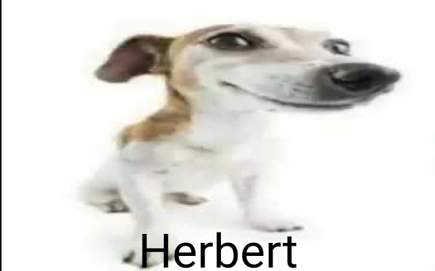 Herbert | image tagged in herbert | made w/ Imgflip meme maker