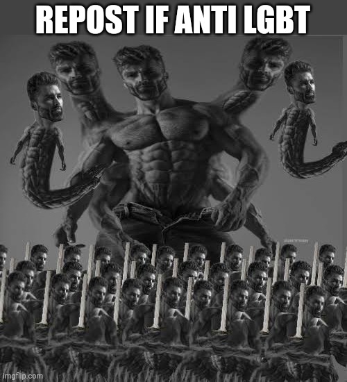 Chad | REPOST IF ANTI LGBT | image tagged in chad | made w/ Imgflip meme maker