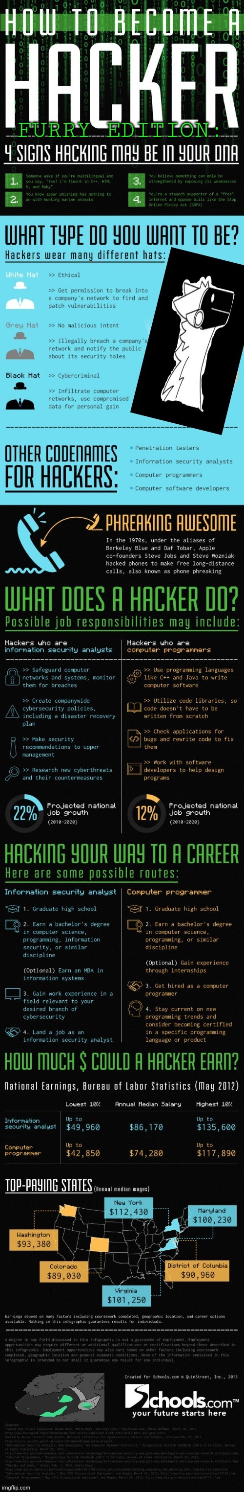 HOW TO BECOME A HACKER: Furry Edition (By SimoTheFinlandized - 2022 CE [credits to Schools.com]) | FURRY EDITION: | image tagged in simothefinlandized,computer-programming,infographic,furry,hacker | made w/ Imgflip meme maker