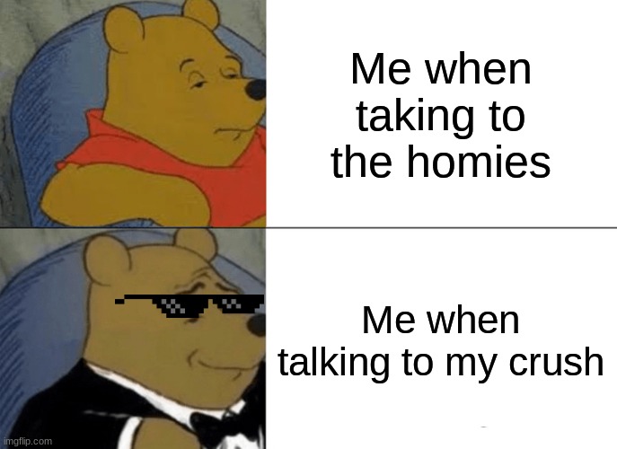 POV: Talking to your crush be like | Me when taking to the homies; Me when talking to my crush | image tagged in memes,tuxedo winnie the pooh | made w/ Imgflip meme maker