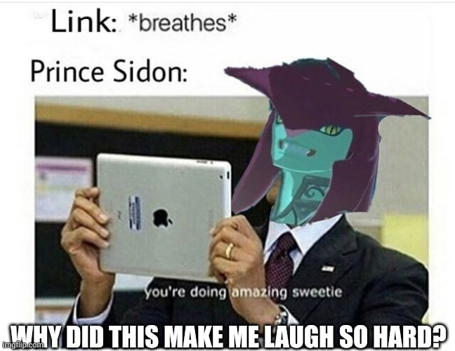 Its true tho | WHY DID THIS MAKE ME LAUGH SO HARD? | image tagged in botw,zelda,link,sidon | made w/ Imgflip meme maker