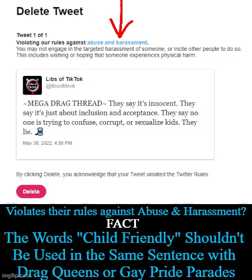 Twitter Censorship AGAIN! | Violates their rules against Abuse & Harassment? FACT; The Words "Child Friendly" Shouldn't 
Be Used in the Same Sentence with 
Drag Queens or Gay Pride Parades | image tagged in politics,liberals,tik tok,abuse,children,drag queen | made w/ Imgflip meme maker