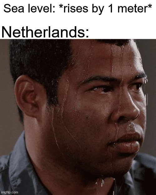 If you live in Netherlands tell me if this is true |  Sea level: *rises by 1 meter*; Netherlands: | image tagged in sweaty tryhard | made w/ Imgflip meme maker