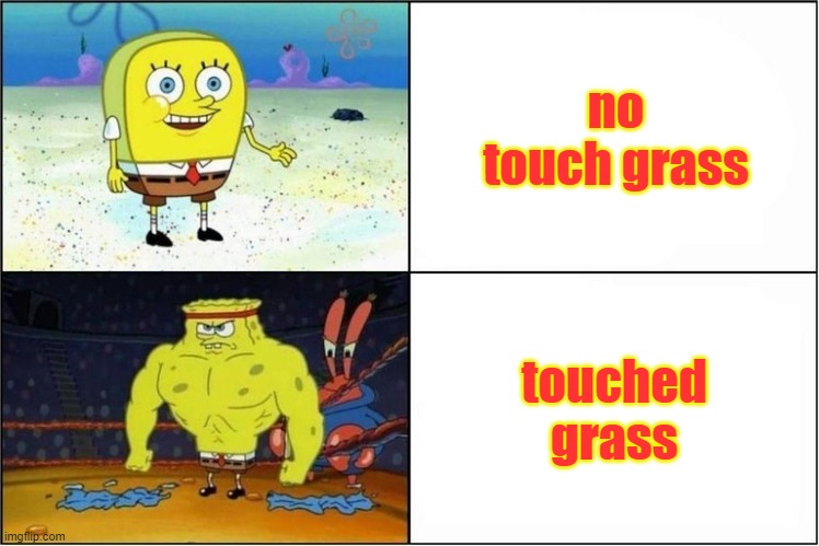 spongeyboi | no touch grass; touched grass | image tagged in weak vs strong spongebob | made w/ Imgflip meme maker