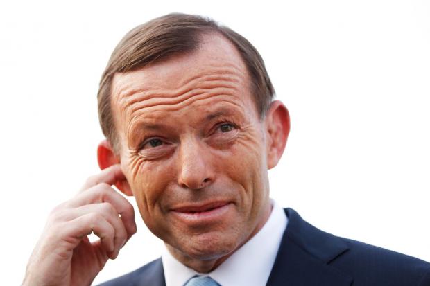 High Quality Tony Abbott Ear Blank Meme Template