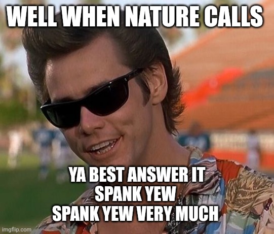 Ace Ventura | WELL WHEN NATURE CALLS YA BEST ANSWER IT
SPANK YEW 
SPANK YEW VERY MUCH | image tagged in ace ventura | made w/ Imgflip meme maker