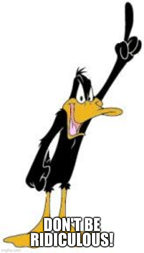 Daffy Duck | DON'T BE RIDICULOUS! | image tagged in daffy duck | made w/ Imgflip meme maker