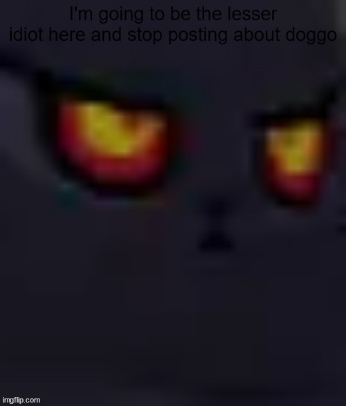 . | I'm going to be the lesser idiot here and stop posting about doggo | image tagged in content | made w/ Imgflip meme maker