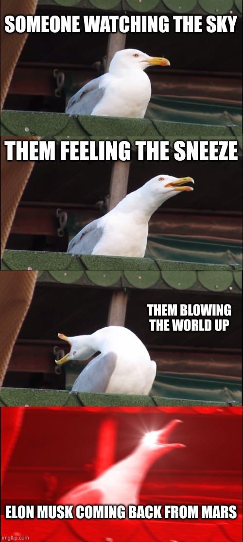 meme | SOMEONE WATCHING THE SKY; THEM FEELING THE SNEEZE; THEM BLOWING THE WORLD UP; ELON MUSK COMING BACK FROM MARS | image tagged in memes,inhaling seagull | made w/ Imgflip meme maker