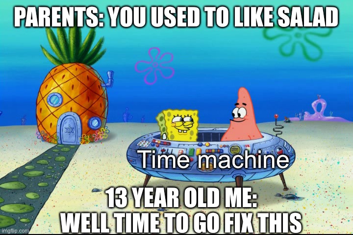 Me | PARENTS: YOU USED TO LIKE SALAD; Time machine; 13 YEAR OLD ME: WELL TIME TO GO FIX THIS | image tagged in me | made w/ Imgflip meme maker
