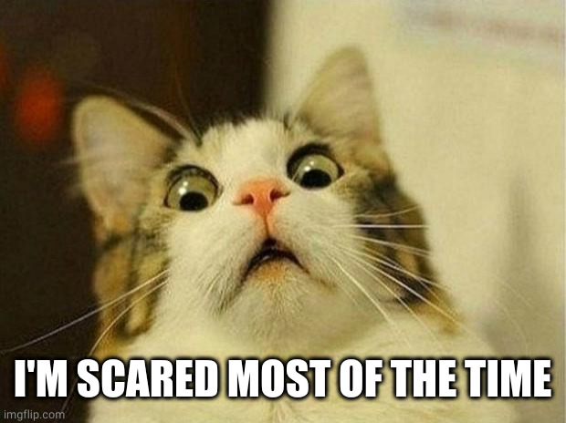 Scared Cat Meme | I'M SCARED MOST OF THE TIME | image tagged in memes,scared cat | made w/ Imgflip meme maker