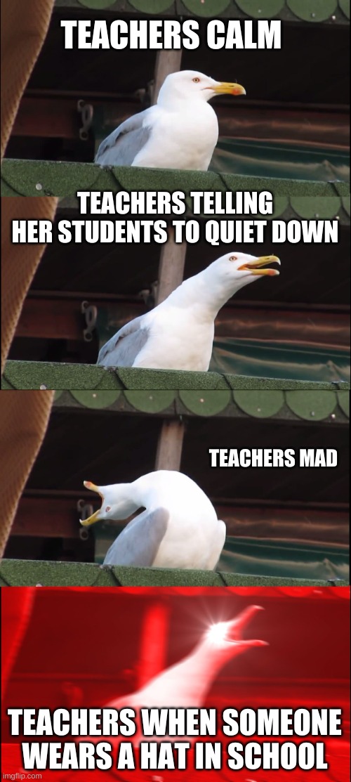 Teachers be like |  TEACHERS CALM; TEACHERS TELLING HER STUDENTS TO QUIET DOWN; TEACHERS MAD; TEACHERS WHEN SOMEONE WEARS A HAT IN SCHOOL | image tagged in memes,inhaling seagull | made w/ Imgflip meme maker