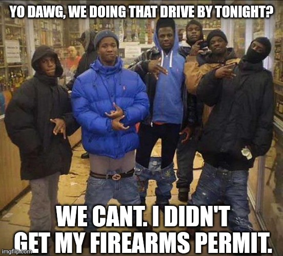 How leftist think the world works | YO DAWG, WE DOING THAT DRIVE BY TONIGHT? WE CANT. I DIDN'T GET MY FIREARMS PERMIT. | image tagged in gangster pants | made w/ Imgflip meme maker