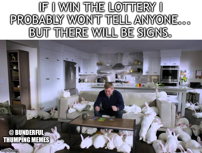 Bunnies | IF I WIN THE LOTTERY I
PROBABLY WON'T TELL ANYONE...
BUT THERE WILL BE SIGNS. @ BUNDERFUL THUMPING MEMES | image tagged in bunnies,rabbits,lottery | made w/ Imgflip meme maker
