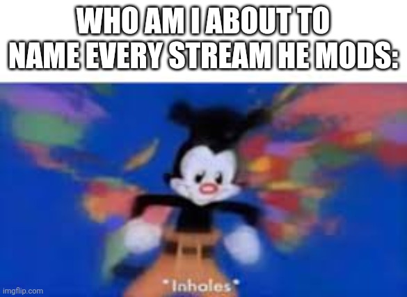 yakko inhale | WHO AM I ABOUT TO NAME EVERY STREAM HE MODS: | image tagged in yakko inhale | made w/ Imgflip meme maker