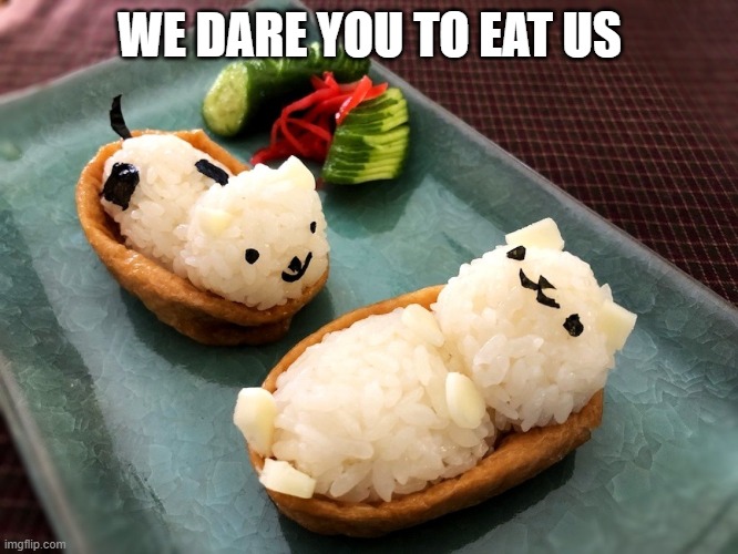 WE DARE YOU TO EAT US | image tagged in sushi,memes,food,inarizushi,cute | made w/ Imgflip meme maker