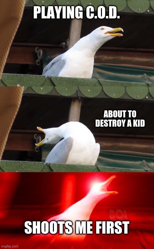 C.O.D. | PLAYING C.O.D. ABOUT TO DESTROY A KID; SHOOTS ME FIRST | image tagged in inhaling seagull | made w/ Imgflip meme maker