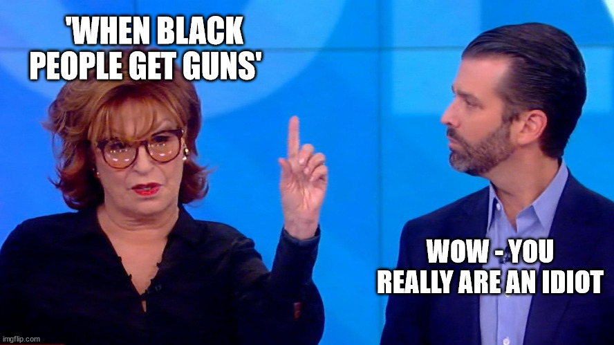 When Blacks Get Guns... |  'WHEN BLACK PEOPLE GET GUNS'; WOW - YOU REALLY ARE AN IDIOT | image tagged in the view,joy behar,ignorance,stupidity | made w/ Imgflip meme maker