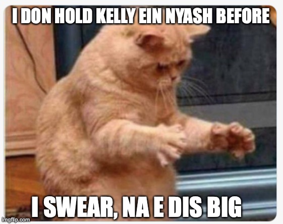 SIZE | I DON HOLD KELLY EIN NYASH BEFORE; I SWEAR, NA E DIS BIG | image tagged in cat gesture | made w/ Imgflip meme maker
