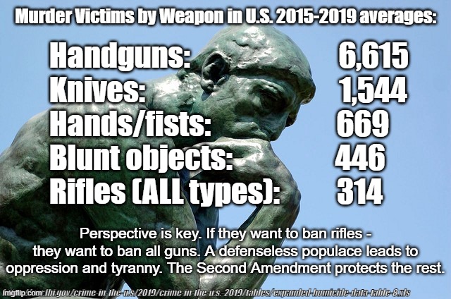 Hold the line | Murder Victims by Weapon in U.S. 2015-2019 averages:; Handguns:                          6,615
Knives:                                  1,544
Hands/fists:                      669
Blunt objects:                  446
Rifles (ALL types):          314; Perspective is key. If they want to ban rifles - they want to ban all guns. A defenseless populace leads to oppression and tyranny. The Second Amendment protects the rest. https://ucr.fbi.gov/crime-in-the-u.s/2019/crime-in-the-u.s.-2019/tables/expanded-homicide-data-table-8.xls | image tagged in joe biden,democrats,republicans,gun control | made w/ Imgflip meme maker
