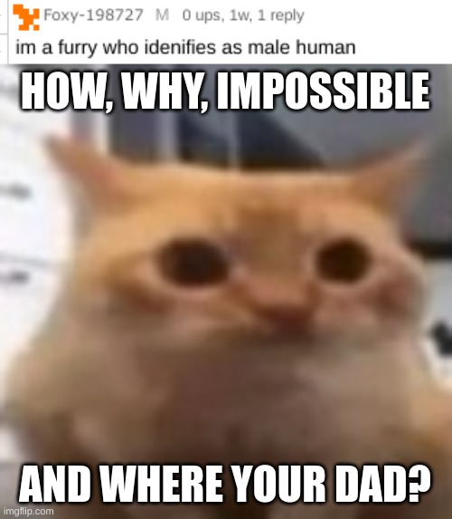 Awnser these questions than this will be a joke | HOW, WHY, IMPOSSIBLE; AND WHERE YOUR DAD? | image tagged in spoingus,memes,msmg,how,you have been eternally cursed for reading the tags | made w/ Imgflip meme maker