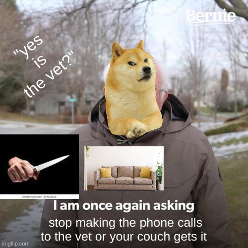 Bernie I Am Once Again Asking For Your Support Meme | "yes is the vet?"; stop making the phone calls to the vet or your couch gets it | image tagged in memes,bernie i am once again asking for your support | made w/ Imgflip meme maker