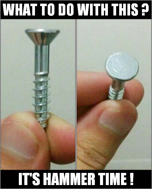 A Confusing Screw ! | WHAT TO DO WITH THIS ? IT'S HAMMER TIME ! | image tagged in confusing,screw,hammer time | made w/ Imgflip meme maker