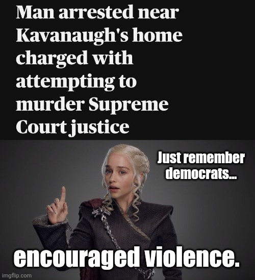 They sure did. | Just remember democrats... encouraged violence. | image tagged in danerys points up | made w/ Imgflip meme maker