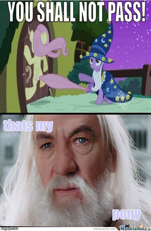 best lotr cross over with mlp | image tagged in fun,lotr,mlp,fim,funny,funny memes | made w/ Imgflip meme maker