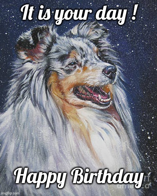Sheltie happy Birthday | It is your day ! Happy Birthday | image tagged in birthday | made w/ Imgflip meme maker
