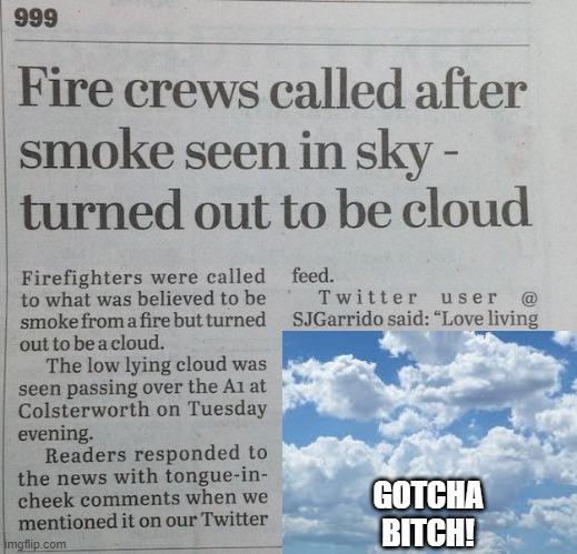 Cloudy with a Chance of Stupid | GOTCHA BITCH! | image tagged in headlines | made w/ Imgflip meme maker
