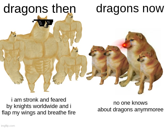 all the doge | dragons then; dragons now; i am stronk and feared by knights worldwide and i flap my wings and breathe fire; no one knows about dragons anymmoree | image tagged in memes,buff doge vs cheems | made w/ Imgflip meme maker