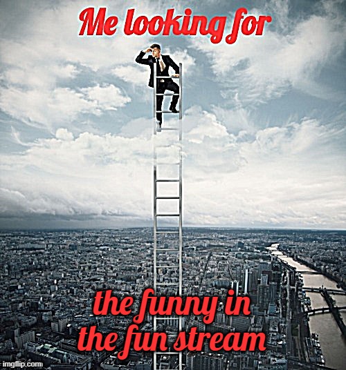 Searching | the funny in the fun stream | image tagged in searching | made w/ Imgflip meme maker