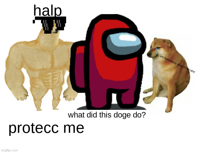 what did the crying doge do | halp; im harmless and innocent; what did this doge do? protecc me | image tagged in memes,buff doge vs cheems | made w/ Imgflip meme maker