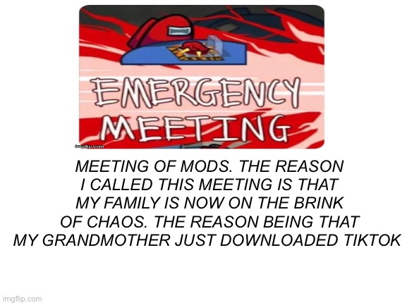 I feel like this isn’t gonna end well | MEETING OF MODS. THE REASON I CALLED THIS MEETING IS THAT MY FAMILY IS NOW ON THE BRINK OF CHAOS. THE REASON BEING THAT MY GRANDMOTHER JUST DOWNLOADED TIKTOK | image tagged in blank white template | made w/ Imgflip meme maker