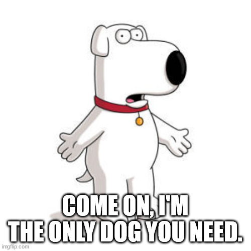 Family Guy Brian Meme | COME ON, I'M THE ONLY DOG YOU NEED. | image tagged in memes,family guy brian | made w/ Imgflip meme maker