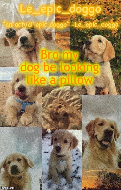 Doggo temp by doggo. Wait what that’s confusing | Bro my dog be looking like a pillow | image tagged in doggo temp by doggo wait what that s confusing | made w/ Imgflip meme maker