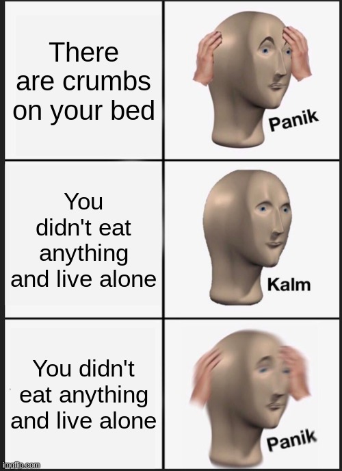 This is not a creative title | There are crumbs on your bed; You didn't eat anything and live alone; You didn't eat anything and live alone | image tagged in memes,panik kalm panik | made w/ Imgflip meme maker